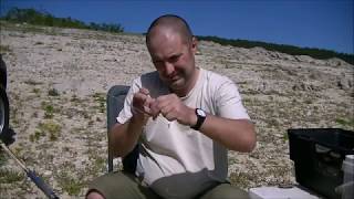 картинка: За Бяла риба на Жребчево 2017 г.