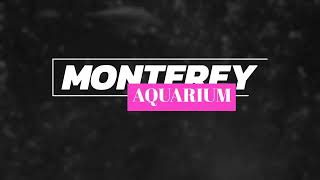 Exploring  Monterey  Bay  Aquarium