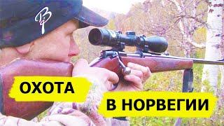 ОХОТА В НОРВЕГИИ! Авторская версия. Охотничьи приключения в Норвегии / NORDIC WILD HUNTER