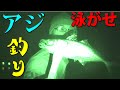小川島でアジの泳がせ釣りしてきた！