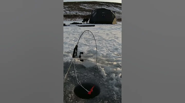 This Hurt My Soul Ice Fishing - DayDayNews