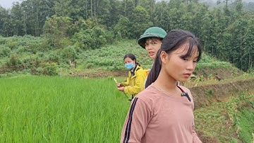 Cùng Em Sử (Mồ Côi Cha) Mẹ Bỏ Đi TQ Lấy Chồng Thăm Lại Ruộng Nương Của Bố Đã Cắm | Cói Lalin