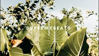 lovesome & local jam - dna