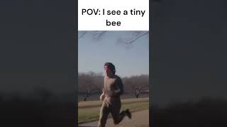 Pov Tiny Bee Moment