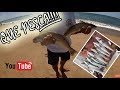 Muy buena Pesca de VARIADA en -/ ¨ARACHANIA¨-Rocha-Uruguay/