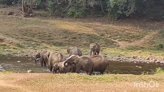 Anakkulam - Mankulam #Munnar