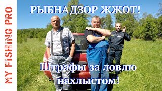 ЖЕСТЬ! Рыбнадзор Ржева ОТЖИГАЕТ в нерестовый запрет! Выписали 2 ШТРАФА. Я нахлыстовик - браконьер!