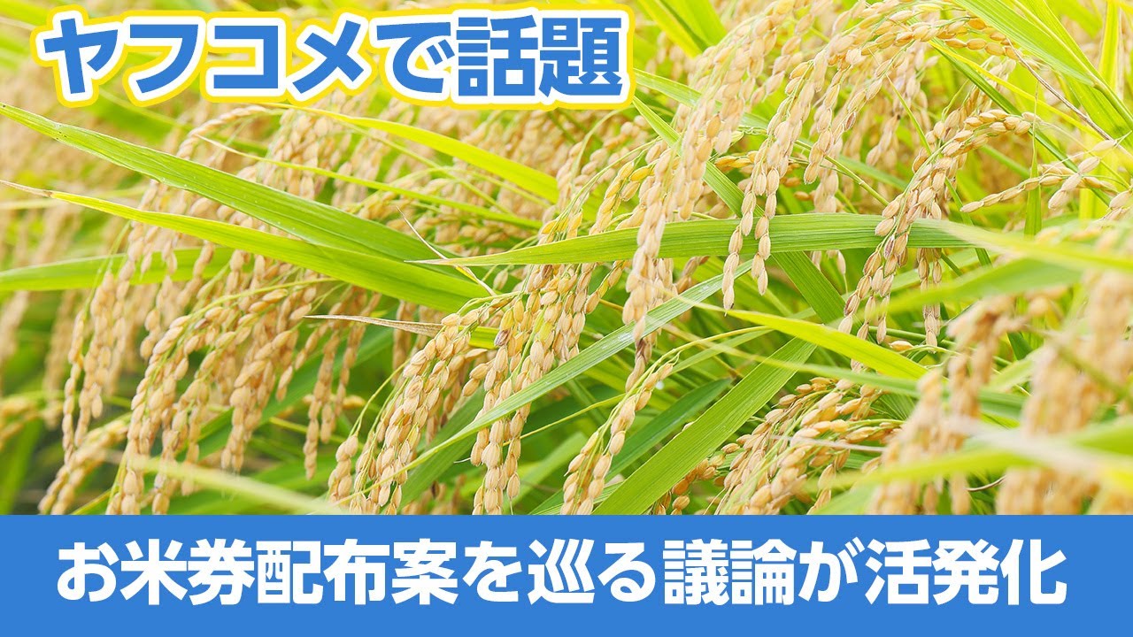 【ヤフコメで話題】「お米券などのバラマキ政策に疑問の声」「現金給付や消費税減税を求める意見も」 - お米券配布案を巡る議論が活発化