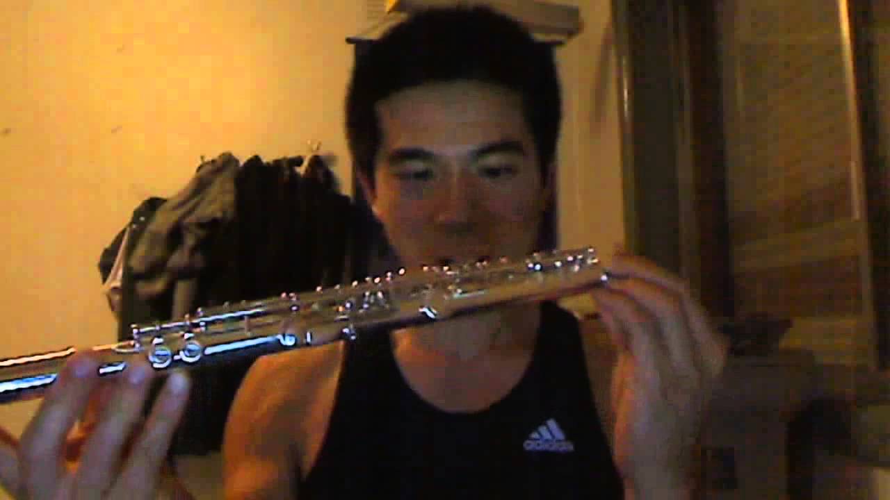 Fluting - Just got my flute serviced! its like a new flute :D