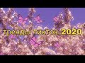 Тренды тикток 2020💌Танцуй если знаешь этот тренд