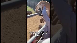 K9 Trapped With Rhino… Then This Happened🐶