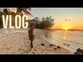 Vlog ile maurice  activites hotel budget etc