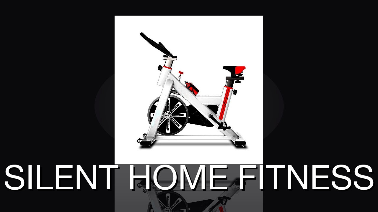 Indoor Mute Exercise Bike Review Whisper-Quiet  Perfect 2026
