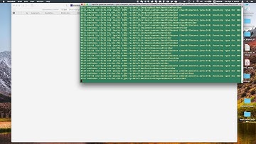 3  Set up an example hapi FHIR server