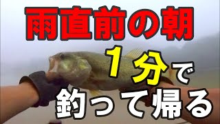 【コンバットクランクＴＣ60】豪雨の切れ間は釣れるのか？【バス釣り】