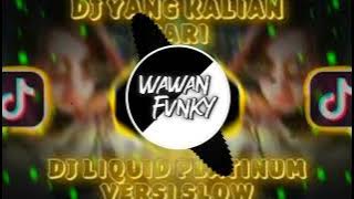 DJ LIQUID PLATINUM SLOW FULL BASS