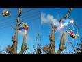 Idiots With Chainsaws: Tree Cutting Fails | Extreme Dangerous Trees Falling On Houses #22