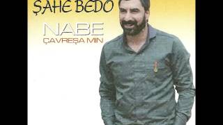 Şahe Bedo - Zerî Resimi