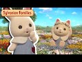 Best of mini episodes compilation athome with sylvanian families