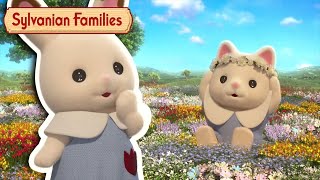 Best of MINI EPISODES COMPILATION #AtHome with Sylvanian Families