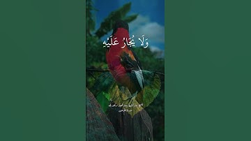 الشيخ عبدالباسط عبدالصمد سورة المؤمنون #الشيخ_عبدالباسط_عبدالصمد