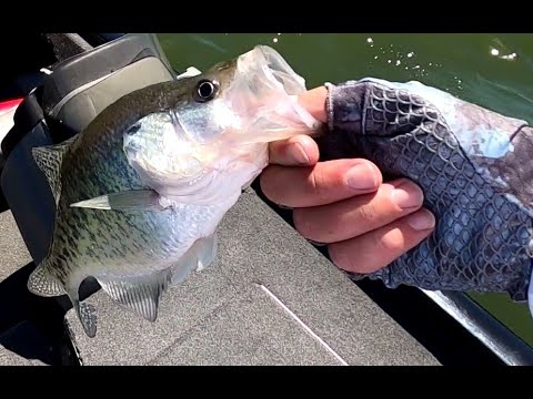 Crappie fishing on Smithville Lake! - YouTube
