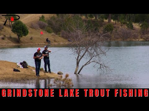 Grindstone Lake Trout Fishing