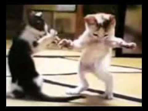 اطرف اغنية اطفال مضحكة جدا هههههههه