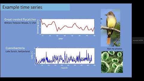 Empirical modeling of bifurcations and chaos from time series – Stephan Munch