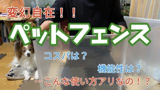 元動物園飼育員がレビュー！？ペットフェンス買って作って遊んでみた！