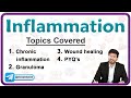 Chronic Inflammation || Wound Healing &amp; Granuloma - Pathology Lecture 4