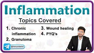 Chronic Inflammation || Wound Healing & Granuloma  Pathology Lecture 4