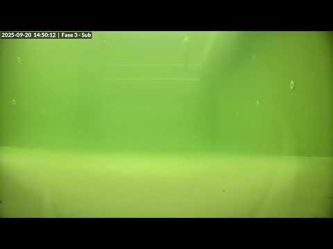 Seals live | Phase 3 Underwater @ WEC Lauwersoog, Netherlands