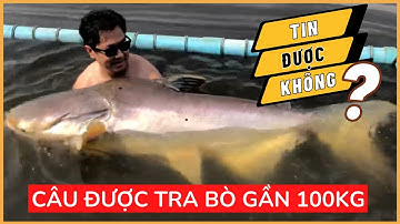 TIN ĐƯỢC KHÔNG? Cần Câu Cá Bullcane Kéo Được Tra Bò Gần 100kg.