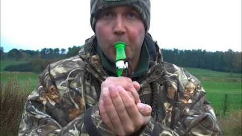 Duckhouse.dk demo af Zink Calls Greylag