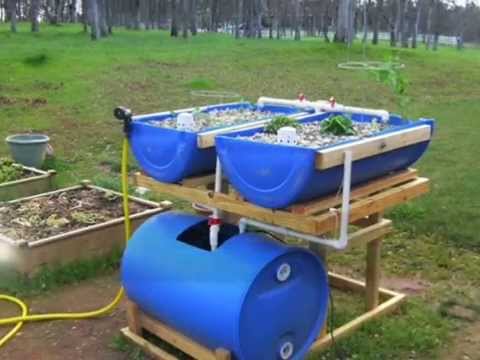 Homemade Aquaponics Fish Tank | Aquaponics Fish Tank To Grow Bed Ratio ...