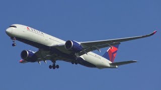 (4K) Morning Plane Spotting at Detroit Metro Airport