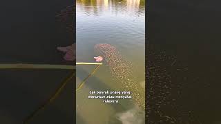 dia memancing untuk menghidupi keluarga nya #shorts #motivation