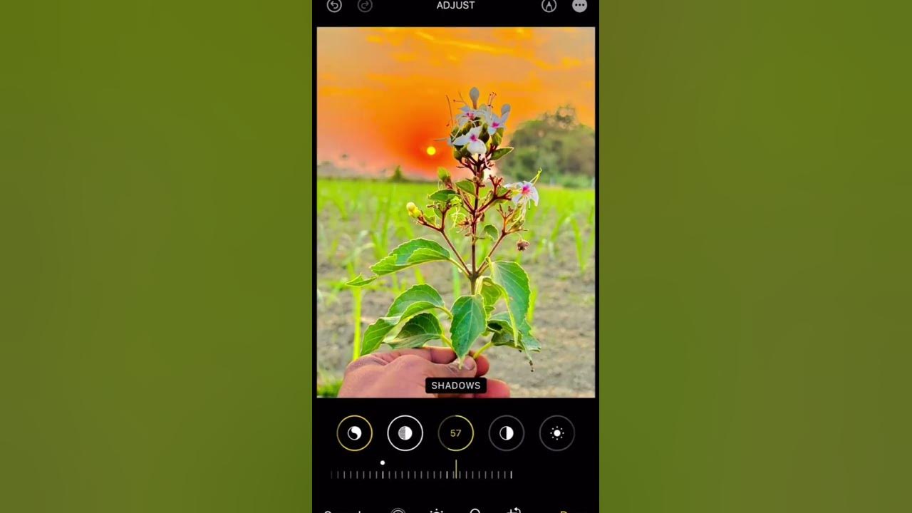 Pawan Singh new trending song rdxlavle photo editing #youtubeviralvideo #youtubeshort #photoediting