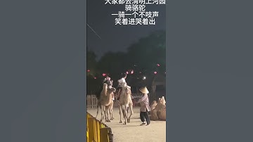 Lần đầu cưỡi lạc đà nhưng cái kết sợ hãi