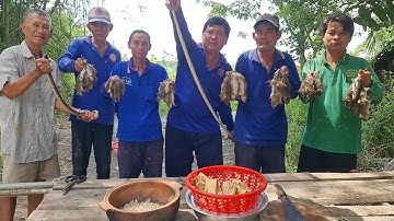 Chuột đồng rang muối Rắn nấu Mẻ lai Rai vài ly rượu đế dưới bóng xế chiều.Góc Làng Quê #714