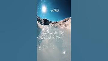 تلاوة هادئة تريح الأعصاب 🎧😴ارح سمعك