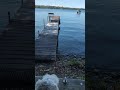 Enjoying the Cabin,❤️ #bestdayever #viral #puppy #pets #cute #featured #fypシ゚viral #fyp #doglife