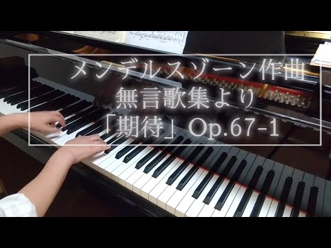 メンデルスゾーン　ピアノ曲全集　roberto prosseda メンデルスゾーン ピアノ曲全集 roberto prosseda CD｜www