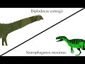 SB14FC Diplodocus Vs Saurophaganax SB14FC Diplodocus Vs Saurophaganax