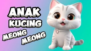 LAGU KUCING MEONG 🪅🐱 LAGU ANAL ANAKK POPULER TERFAVORIT