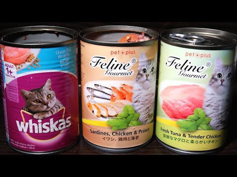 Murang Canned Cat Food, 60 Pesos Lang!