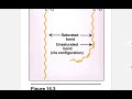 Lipid Chemistry , Biochemistry lec 2