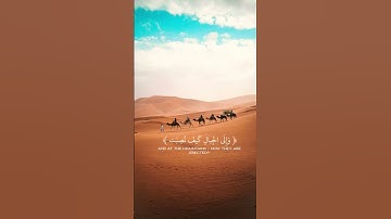 #سورة_الغاشيه #القرآن_الكريم #اكسبلور #تلاوة_خاشعة #تلاوة_هادئة