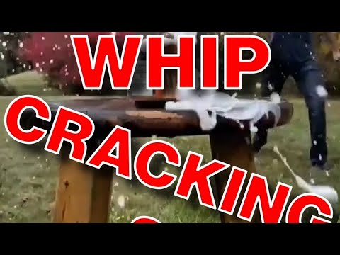 Видео: Bullwhips гэж юу гэсэн үг вэ?